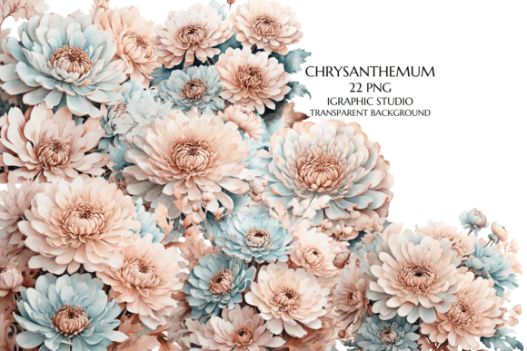 Download Rose Gold and Teal Chrysanthemum PNG - Premium Resources