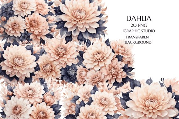 Download Rose Gold and Blue Dahlia PNG - Premium Resources